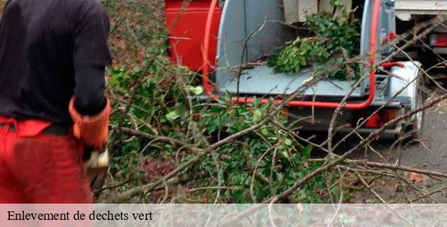 enlevement-de-dechets-vert