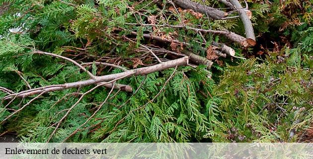 enlevement-de-dechets-vert