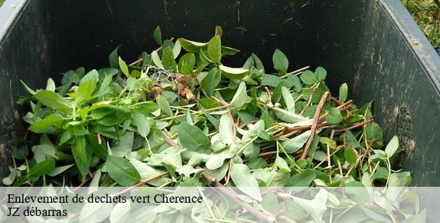 enlevement-de-dechets-vert