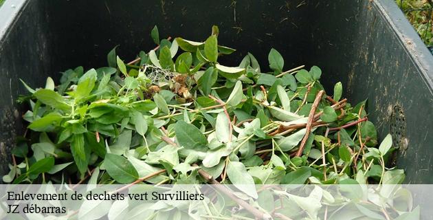 enlevement-de-dechets-vert